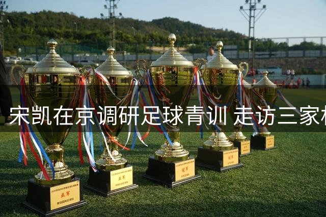 宋凯在京调研足球青训 走访三家机构获关注