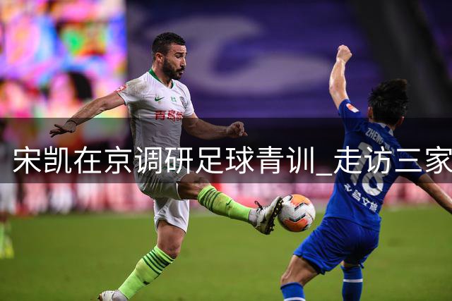 宋凯在京调研足球青训 走访三家机构获关注