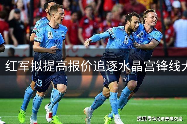 红军拟提高报价追逐水晶宫锋线大将