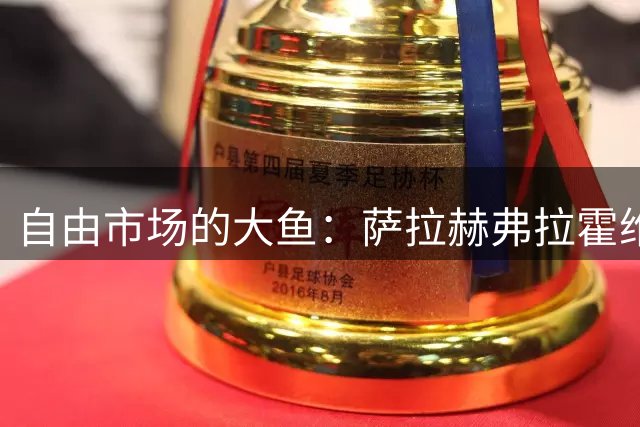自由市场的大鱼：萨拉赫弗拉霍维奇在列 桑乔或再回多特
